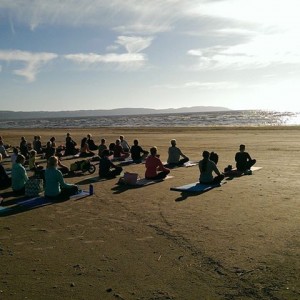 Yoga Skummeslöv 2015 06 30 Åsa Niklasson Yogamedmera